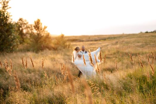 bride blonde girl and groom in a field at sunset light