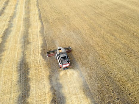 Harvesting of grain crops.Harvesting wheat,oats and barley in fields,ranches and farmlands.Combines mow wheat in the field.Agro-industry.Combine Harvester Cutting on wheat filed.Machine harvest wheat
