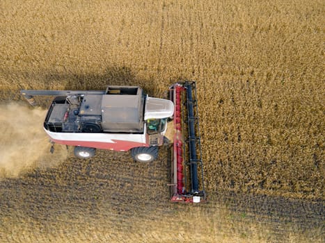 Combines mow wheat in the field.Agro-industry.Combine Harvester Cutting on wheat field.Machine harvest wheat.Harvesting of grain crops.Harvesting wheat,oats and barley in fields,ranches and farmlands