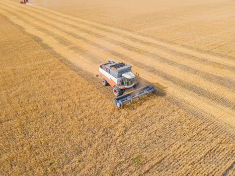 Harvest wheat grain and crop aerial view.Harvesting wheat,oats, barley in fields,ranches and farmlands.Combines mow in the field.Agro-industry.Combine Harvester Cutting on wheat filed.Machine harvest