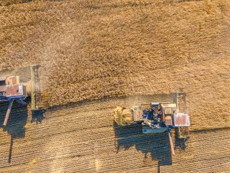 Harvest wheat grain and crop aerial view.Harvesting wheat,oats, barley in fields,ranches and farmlands.Combines mow in the field.Agro-industry.Combine Harvester Cutting on wheat filed.Machine harvest