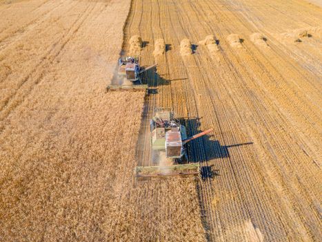 Harvest wheat grain and crop aerial view.Harvesting wheat,oats, barley in fields,ranches and farmlands.Combines mow in the field.Agro-industry.Combine Harvester Cutting on wheat filed.Machine harvest