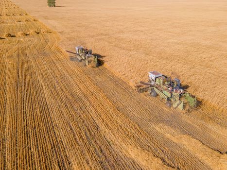 Harvest wheat grain and crop aerial view.Harvesting wheat,oats, barley in fields,ranches and farmlands.Combines mow in the field.Agro-industry.Combine Harvester Cutting on wheat filed.Machine harvest