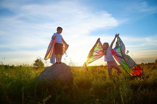 Pretty blonde girl and small boy with bright butterfly wings having fun in meadow or field on natural landscape with grass and flower on sunny summer day. Brother and sister together. Partial focus