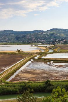 View of Secovlje Saltpans Natural Park in Slovenia