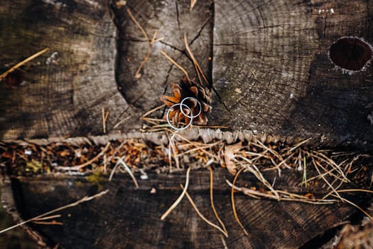 Close-up of two gold wedding rings for a stump wedding.