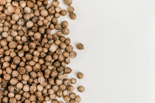 Coriander seeds close up texture background.