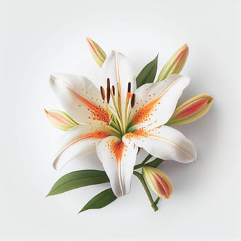 Top view of Lilies flower on a white background, perfect for representing the theme of Valentine's Day.