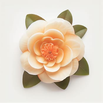 Camellia flower in a top view, isolated on a white background, suitable for use on Valentine's Day cards, love letters, or springtime designs.