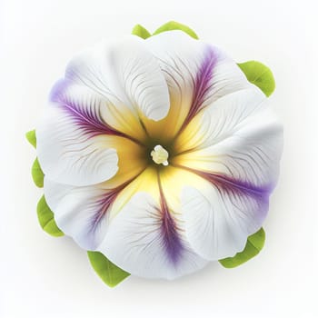 Top view a Petunia flower isolated on a white background, suitable for use on Valentine's Day cards, love letters, or springtime designs.
