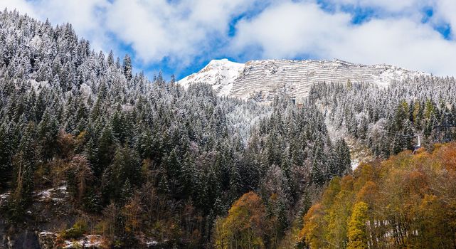 Snow covered the mountain after the blizzard during autumn in Switzerland. The trees changing color from green to orange.