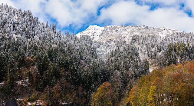 Snow covered the mountain after the blizzard during autumn in Switzerland. The trees changing color from green to orange.