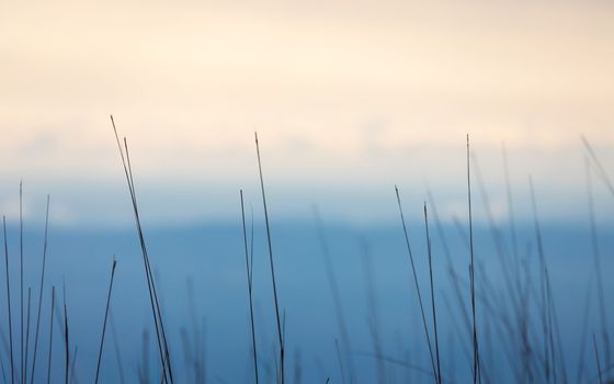 Soft focus on grass with blurry background of blue mountain and orange sky.