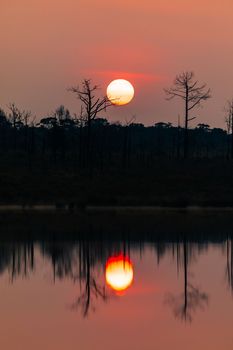 Early morning of silhouetted trees with rising sun reflecting on the lake.