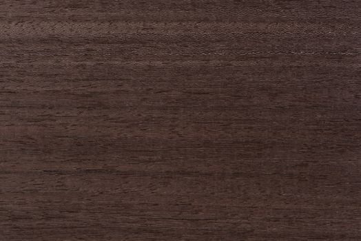 Texture of mahogany. Texture of koto wood with a reddish brown tint. Exotic rare wood from Africa for the production of expensive furniture or interior elements.