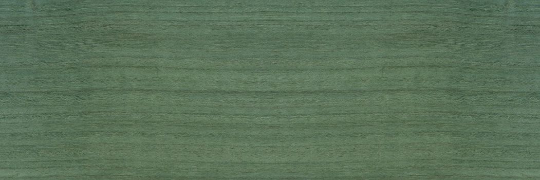 Texture of green wood. The texture of koto wood with a greenish tint. Exotic rare wood from Africa for the production of expensive furniture or interior elements.