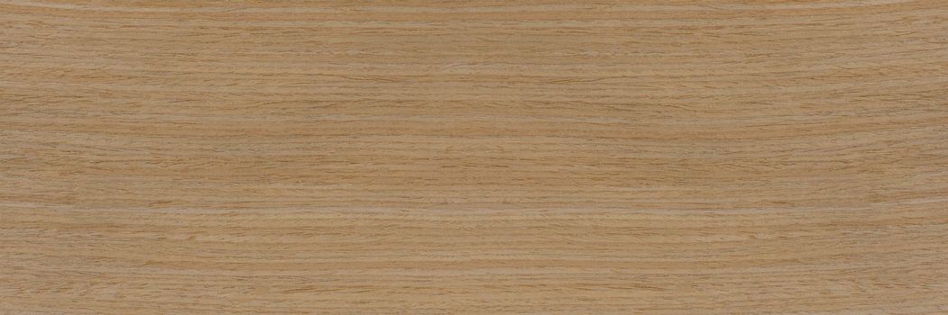 Wood texture. Natural maple texture. Maple board for furniture production. Untreated young maple board with fine texture in light color.