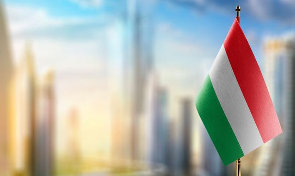 Small flags of the Hungary on an abstract blurry background.