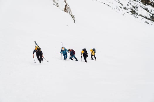 Mountaineer backcountry ski touring in the mountains. Ski touring in high alpine landscape with snowy trees. Adventure winter extreme sport. High quality photo