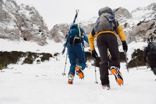 Mountaineer backcountry ski touring in the mountains. Ski touring in high alpine landscape with snowy trees. Adventure winter extreme sport. High quality photo