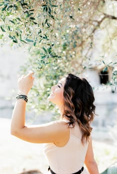 Happy bride touches the green branches of the olive tree. High quality photo