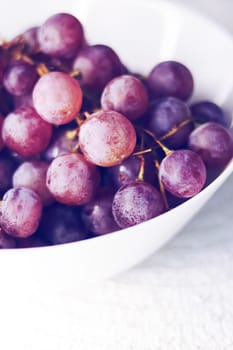 Food and agriculture, ripe dark grapes from organic fruit garden.