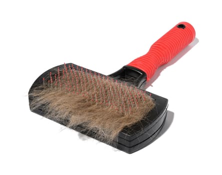 Plastic brush and combing out wool in animals and a tuft of gray cat hair on a white background