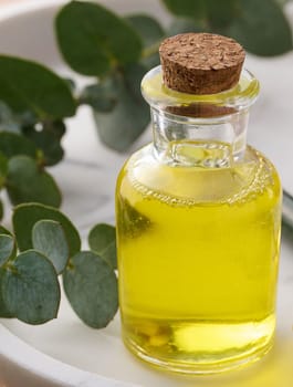 Transparent glass bottle with yellow oil and eucalyptus branch, cosmetic product