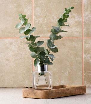 Eucalyptus branches in a glass vase on a wooden stand, decor