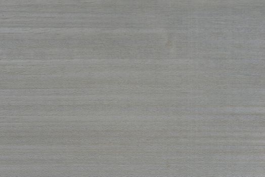 Texture of silver wood. Texture of koto wood with a silvery white tint. Exotic rare wood from Africa for the production of expensive furniture or interior elements.