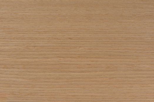 Natural oak texture. Wood texture. Oak board for furniture production. Untreated plank of young oak with fine texture in light color.