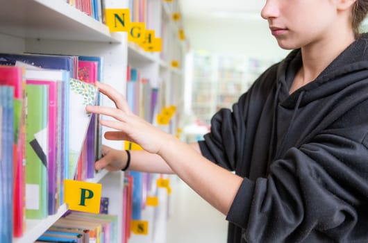 Cute teenage girl looks for the right book in the school library