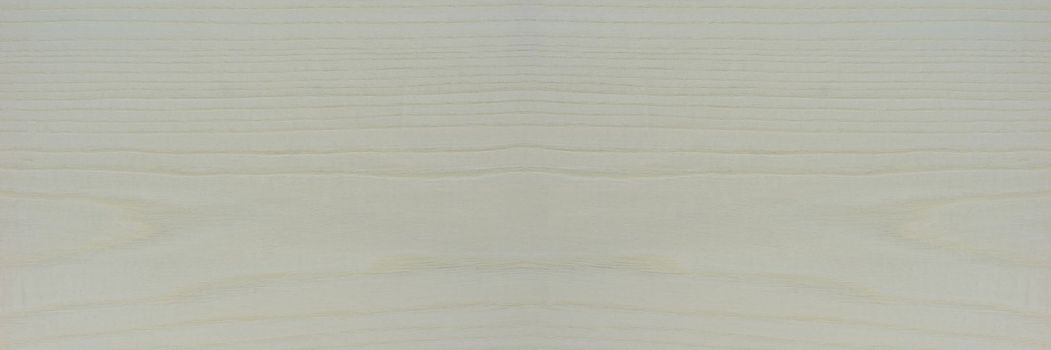 Texture of white wood. Large textured ash wood, painted white. White ash