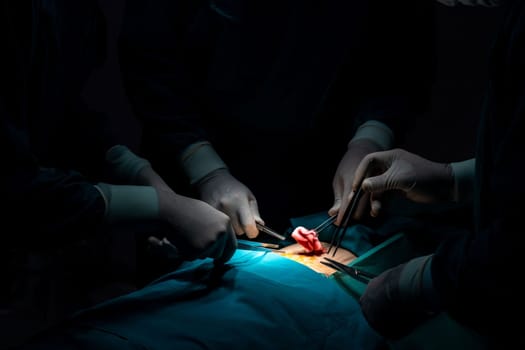 Surgical team performing surgery to patient in sterile operating room. In a surgery room lit by a lamp, a professional and confident surgical team provides medical care to an unconscious patient.