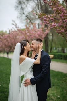 newlyweds walk in the park on the grass among cherry blossoms