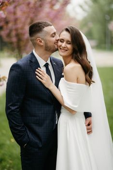 newlyweds walk in the park on the grass among cherry blossoms