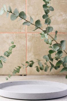 Empty cement decorative stand and eucalyptus branches on the table, background for showcasing cosmetics and products.