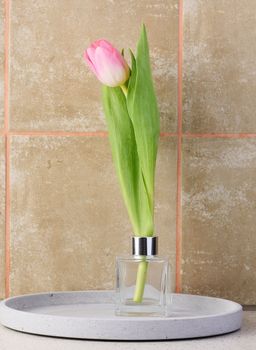 Glass vase with a pink tulip on the table