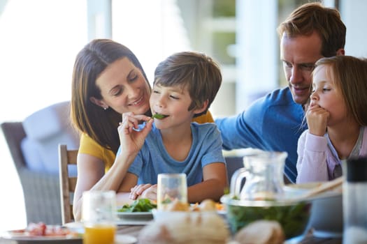 Mom only feeds her family the healthiest food. a family enjoying a meal together at home