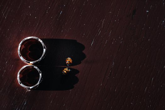 Close-up of two gold wedding rings and two beetles.