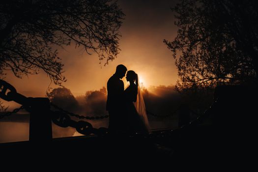 silhouettes of a couple in love at sunset on the background of the Nesvizh castle.