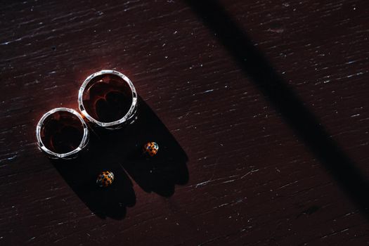 Close-up of two gold wedding rings and two beetles.