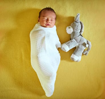 My little boy and his best friend. a tired little baby boy sleeping with his eyes closed on a bed with a stuffed toy next to him at home