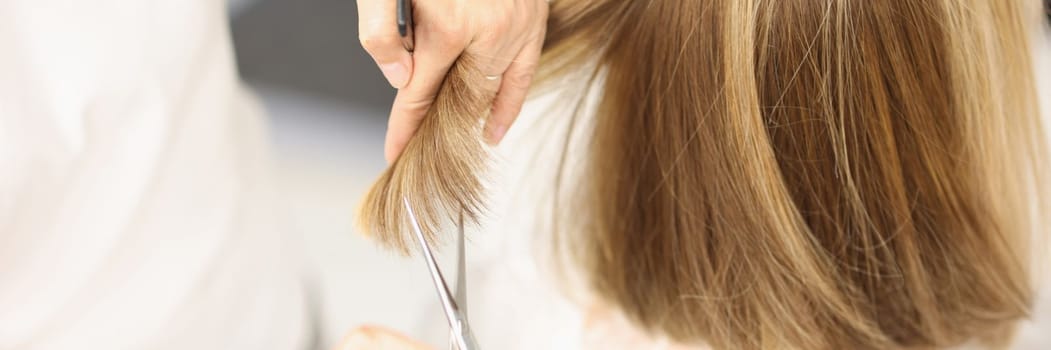 Woman hairdresser cuts hair with scissors in barbershop. Hairdresser holds lock of hair and comb and scissors in his hand between fingers closeup