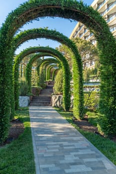 Green garden arches and path. Landscape gardening design in the hotel