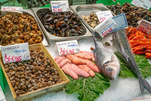 Clams, seafood and fish for sale at a market in Barcelona, Spain