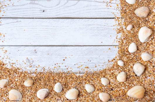 Sand seashells background. Summer time concept with sea shells and starfish on wooden background and sand.