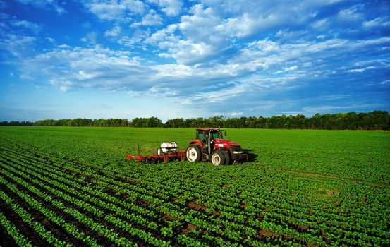 Tractor sprays the field with chemicals to protect the plants. Treatment of agricultural crops against pests. Plant protection for a good harvest. 07.07.22, Rostov region, Russia.