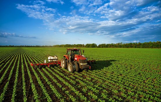Tractor sprays the field with chemicals to protect the plants. Treatment of agricultural crops against pests. Plant protection for a good harvest. 07.07.22, Rostov region, Russia.