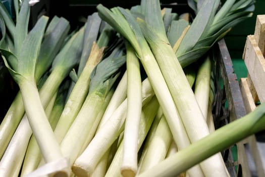 Organically grown leek, close-up selective focus. Sale of vegetables, in a grocery hypermarket
